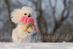 25 Prinzessin Lillifee